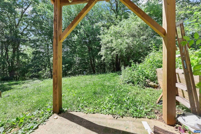 903 Stonehenge Rd, Charlottesville, VA 22901 - view of yard