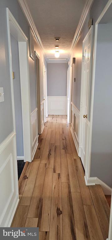 1632 Harrier Ln, Culpeper, VA 22701 - hall with a decorative wall, hardwood / wood-style flooring, wainscoting, and ornamental molding
