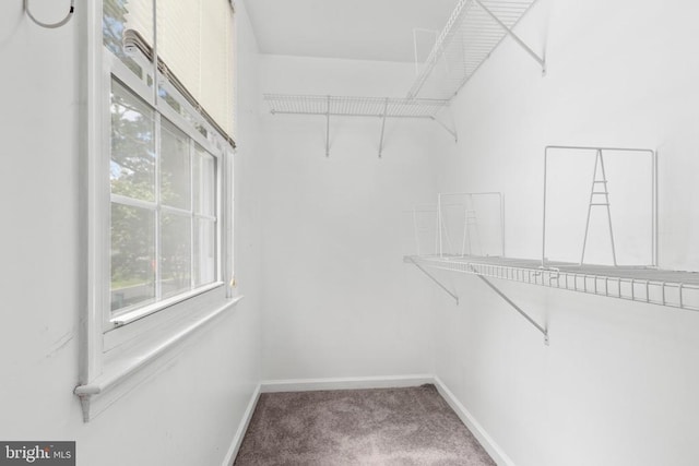 5310 Leavells Crossing Dr, Fredericksburg, VA 22407 - spacious closet with carpet floors