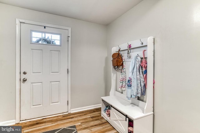 1905 Crepe Myrtle Ln, Culpeper, VA 22701 - mudroom with light wood-style flooring and baseboards