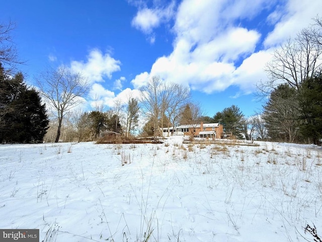 view of yard covered in snow