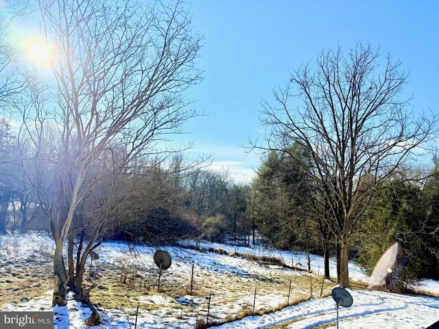 view of yard covered in snow