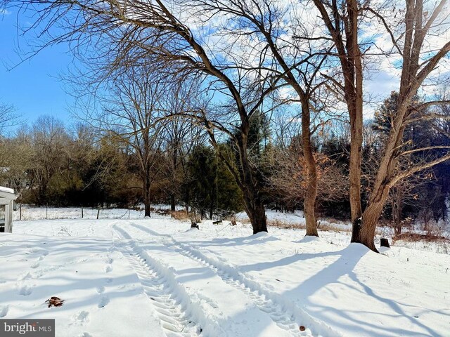 view of yard layered in snow