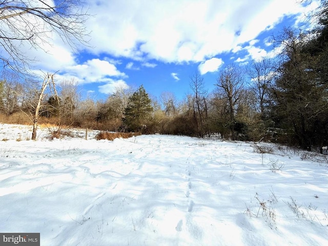 view of snowy yard