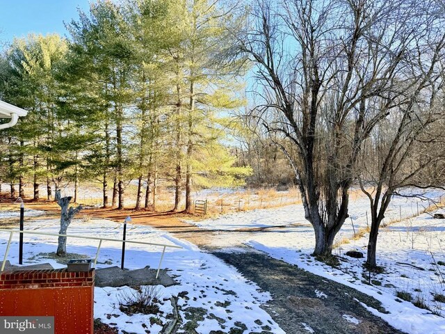 view of yard covered in snow