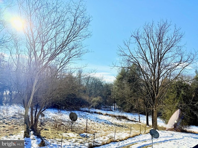 view of yard covered in snow