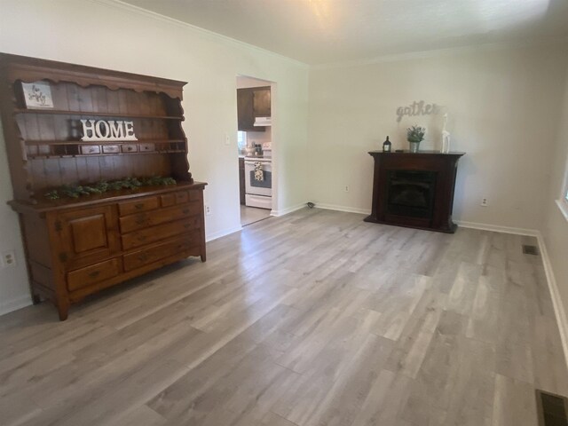 6 Bingham St, Verona, VA 24482 - living room with ornamental molding, light wood-style floors, and a fireplace