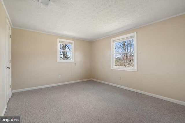 empty room featuring a wealth of natural light, carpet flooring, and a textured ceiling