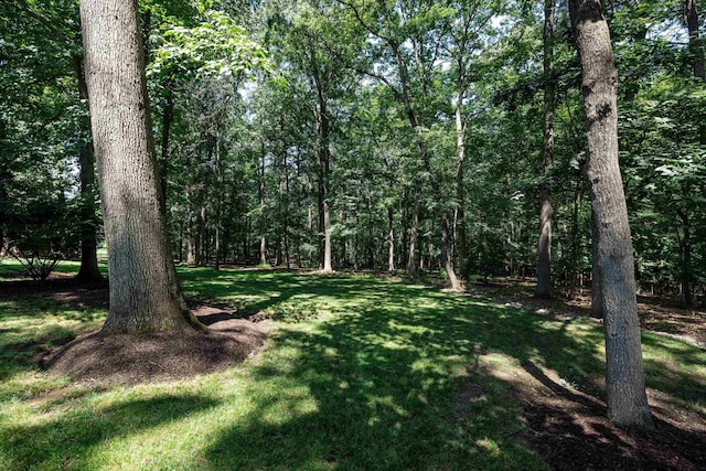 1515 Cumberland Dr, Rockingham, VA 22801 - photo 64