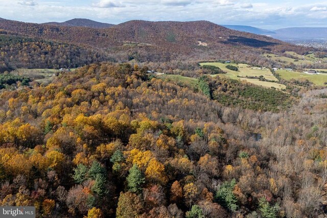 0 Friendly Ln, Stanley, VA 22851