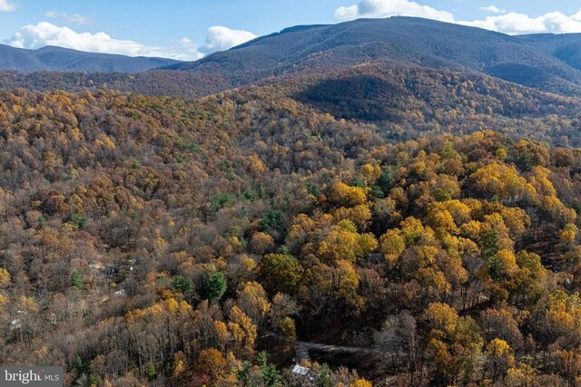 0 Friendly Ln, Stanley, VA 22851