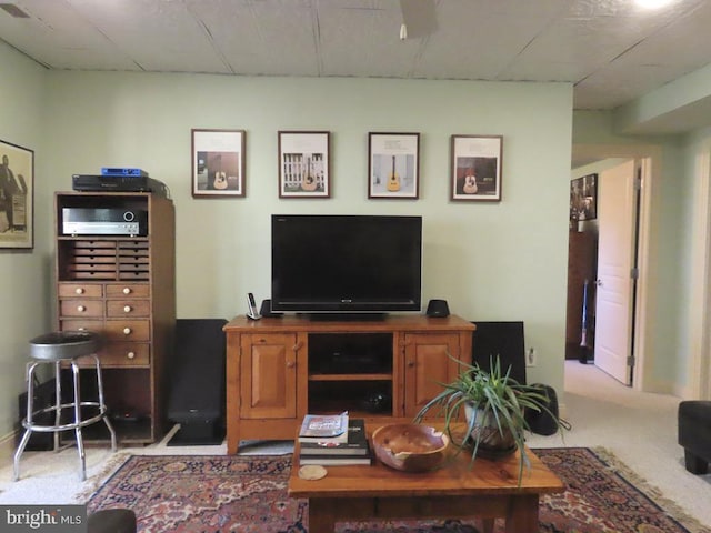 3016 Etlan Rd, Etlan, VA 22719 - living room with carpet
