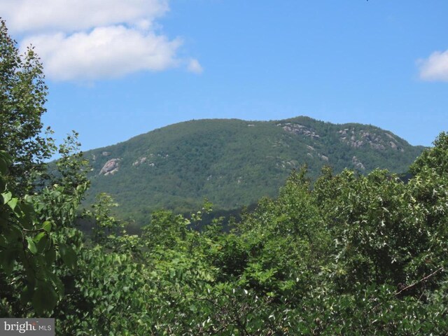 3016 Etlan Rd, Etlan, VA 22719 - view from above of property with a heavily wooded area and mountains