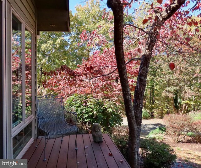 3016 Etlan Rd, Etlan, VA 22719 - bedroom featuring light colored carpet and a ceiling fan
