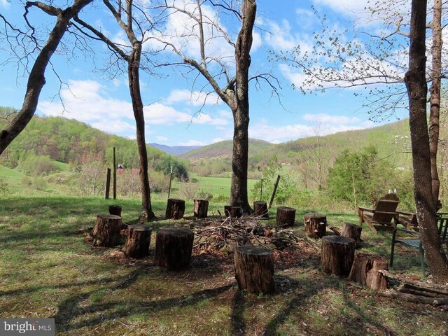 3016 Etlan Rd, Etlan, VA 22719 - mountain view featuring a heavily wooded area