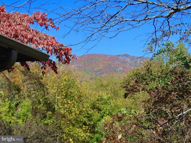 3016 Etlan Rd, Etlan, VA 22719 - view of mountain backdrop