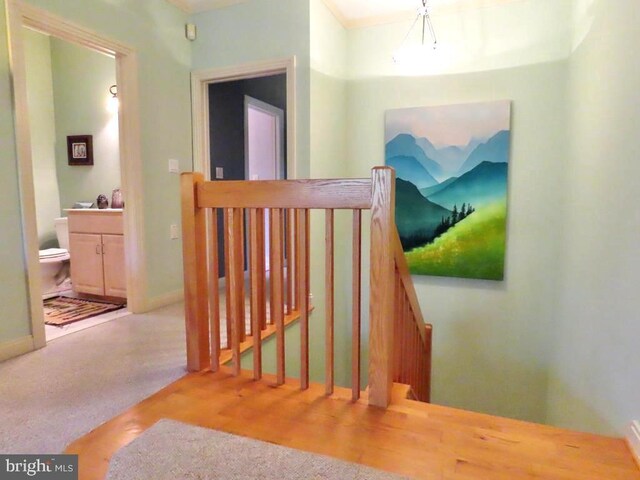 3016 Etlan Rd, Etlan, VA 22719 - living room featuring a ceiling fan and carpet flooring