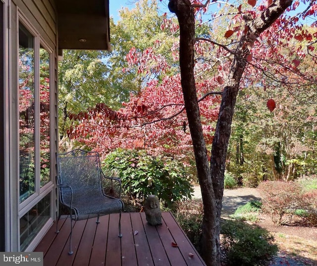 3016 Etlan Rd, Etlan, VA 22719 - view of wooden terrace