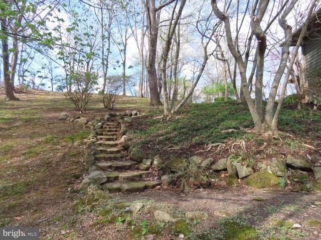 3016 Etlan Rd, Etlan, VA 22719 - view of mountain backdrop with a forest