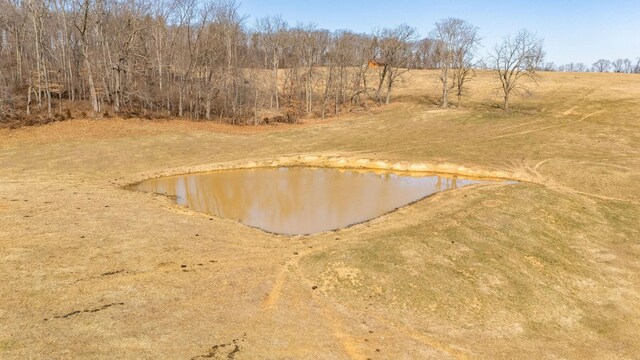 16.119ACLOT1 Lee Hwy N, Raphine, VA 24472 - photo 7