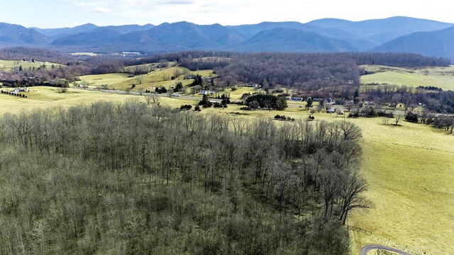 16.119ACLOT1 Lee Hwy N, Raphine, VA 24472 - photo 6