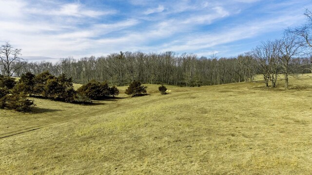 16.119ACLOT1 Lee Hwy N, Raphine, VA 24472 - photo 4