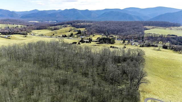 16.119ACLOT1 Lee Hwy N, Raphine, VA 24472 - photo 5