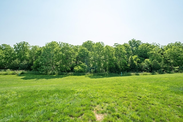 795 Barrows Ct, Mcgaheysville, VA 22840 - view of green lawn featuring a rural view