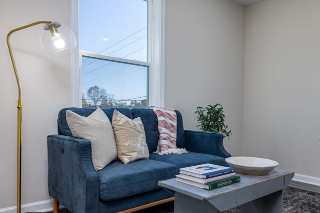 living area featuring baseboards and dark wood-style flooring