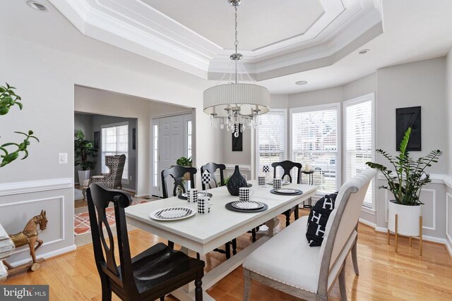 dining space featuring a raised ceiling, ornamental molding, healthy amount of natural light, light wood finished floors, and wainscoting