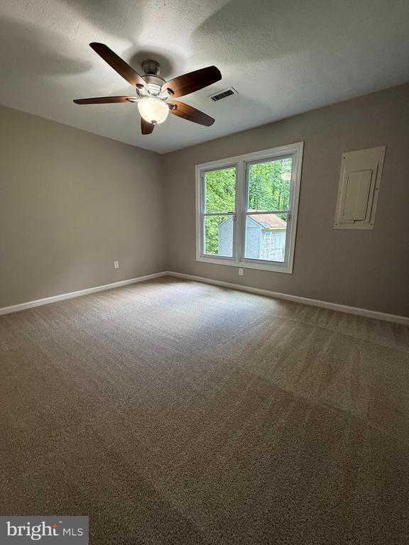 11503 Wilderness Park Dr, Spotsylvania, VA 22551 - carpeted empty room with baseboards and a ceiling fan