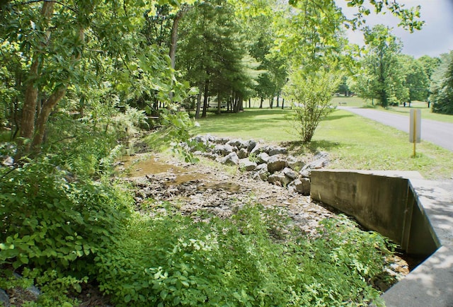 TBDLOT2 Scenic Hills Dr, Waynesboro, VA 22980