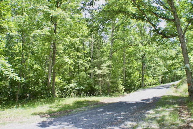 TBDLOT2 Scenic Hills Dr, Waynesboro, VA 22980