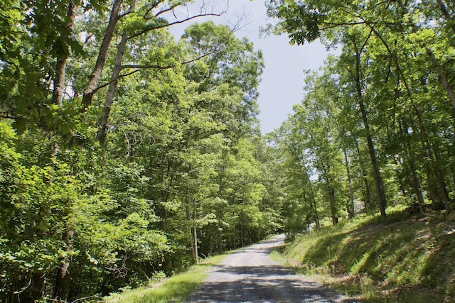 TBDLOT2 Scenic Hills Dr, Waynesboro, VA 22980