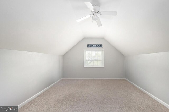 604 Mt Pleasant Dr, Locust Grove, VA 22508 - photo 47