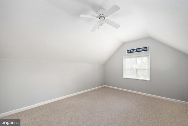 604 Mt Pleasant Dr, Locust Grove, VA 22508 - photo 48