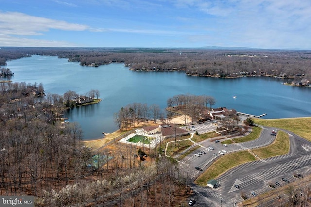 604 Mt Pleasant Dr, Locust Grove, VA 22508 - drone / aerial view with a water view and a wooded view