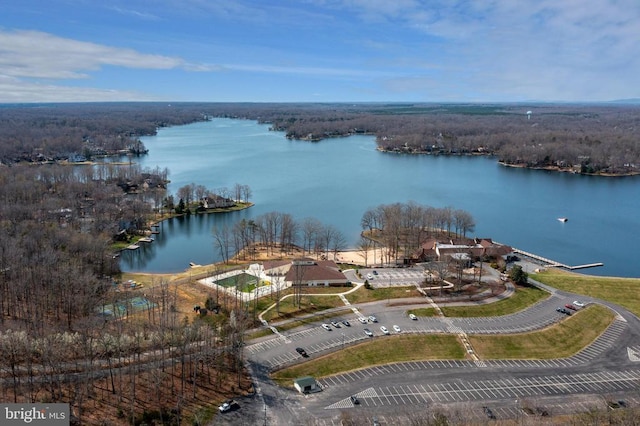 604 Mt Pleasant Dr, Locust Grove, VA 22508 - bird's eye view featuring a water view and a forest view