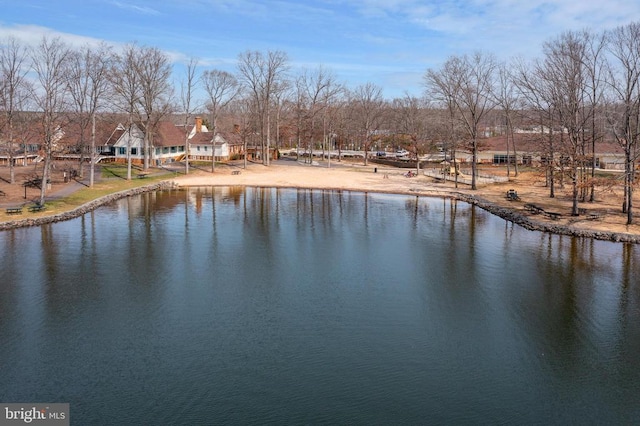 604 Mt Pleasant Dr, Locust Grove, VA 22508 - view of water feature