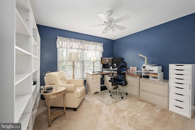 604 Mt Pleasant Dr, Locust Grove, VA 22508 - office space with light carpet and ceiling fan