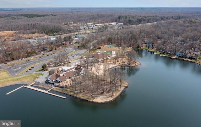 604 Mt Pleasant Dr, Locust Grove, VA 22508 - aerial view with a water view and a forest view