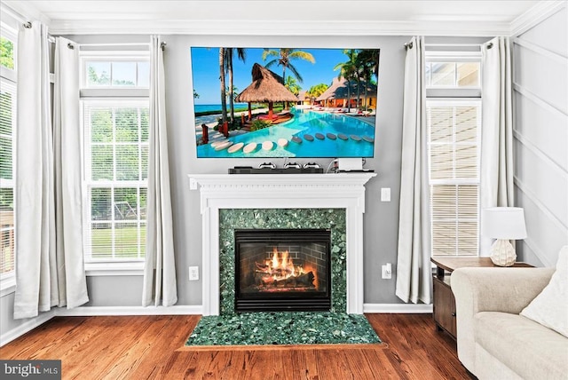 6915 Yeoman Ct, Fredericksburg, VA 22407 - detailed view of a high end fireplace, wood finished floors, baseboards, and ornamental molding