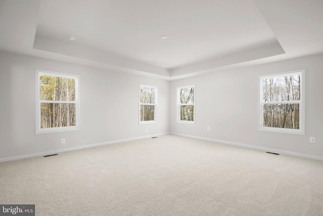 1 Blakely St, Fredericksburg, VA 22408 - spare room with a tray ceiling, baseboards, carpet, and healthy amount of natural light