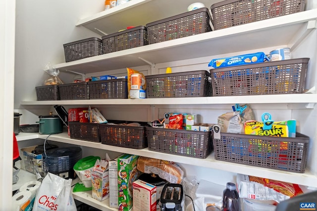 1481 Red Bird Dr, Stanardsville, VA 22973 - view of storage area