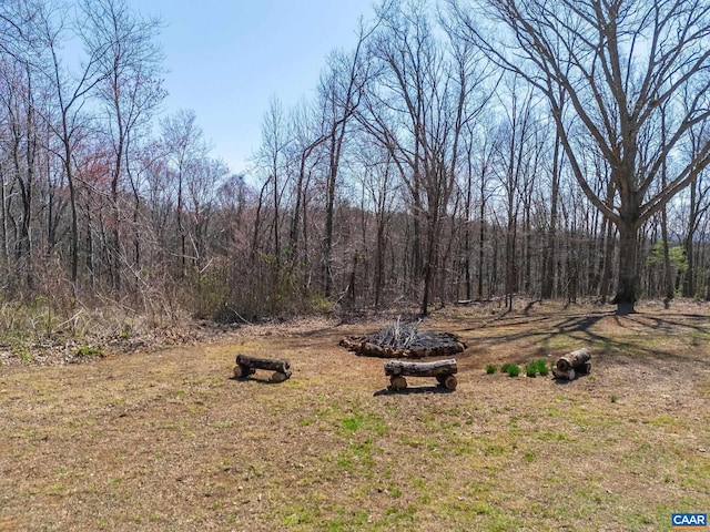 1481 Red Bird Dr, Stanardsville, VA 22973 - view of yard featuring a forest view