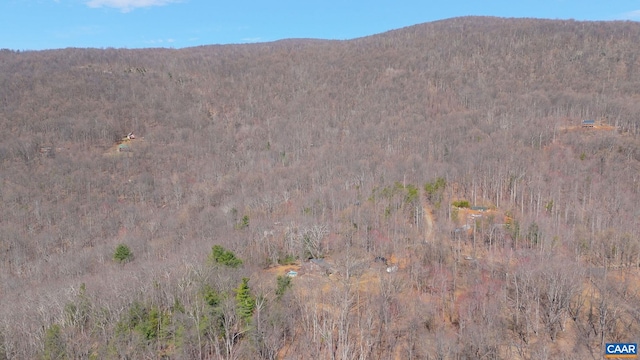 1481 Red Bird Dr, Stanardsville, VA 22973 - property view of mountains with a wooded view