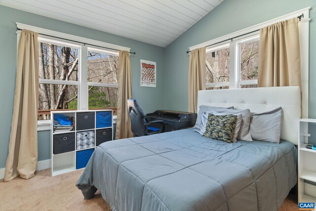 1481 Red Bird Dr, Stanardsville, VA 22973 - bedroom with wooden ceiling, lofted ceiling, and carpet floors