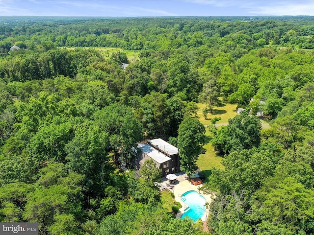  - bird's eye view of a forest and a pool area