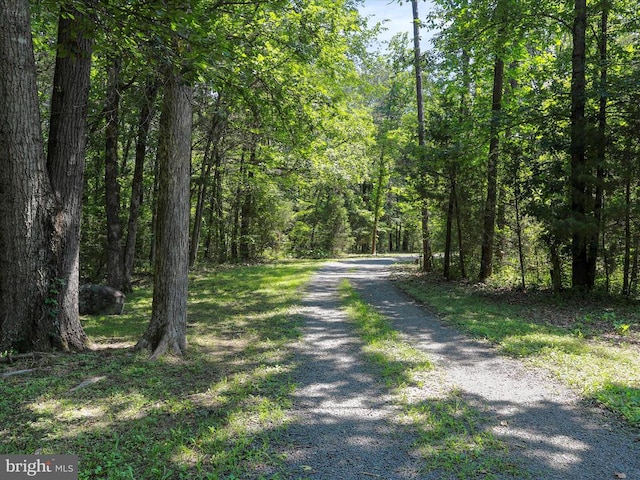  - view of street with a forest view