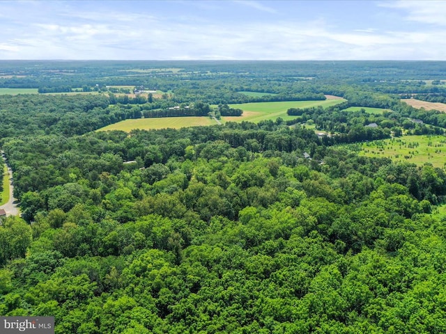  - bird's eye view of a forest